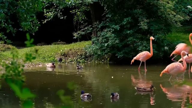 ПРОВАЛ ?АРИНЫ БЕЛОЙ смотреть онлайн