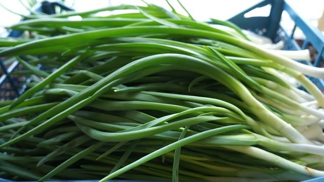 Стардаст- урожай в марте 2022 смотреть онлайн