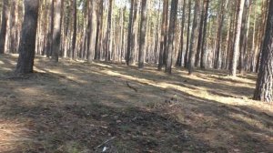 Нужен ли баланс грунта для Терки 705? Покапушки тоже есть