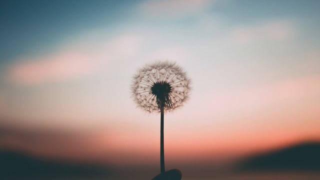 Lo-Fi Chill and Loop смотреть онлайн