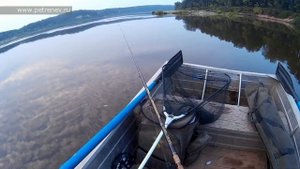 Голавль на сбирулино (бомбарду) с лодки