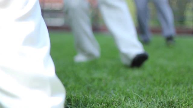 Цигун китайская оздоровительная гимнастика смотреть онлайн