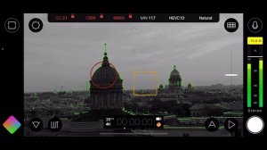 Фокус пикинг на телефоне с помощью приложения Filmic Pro. Снято на телефон