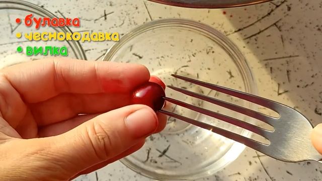 ? 6  ПРОСТЫХ СПОСОБОВ ? Как удалить КОСТОЧКИ из ВИШНИ / Наталья Калинина