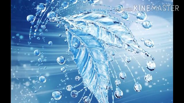 У кузнечика уши на ногах или на голове? •Интересно знать• ПОЗНАВАТЕЛЬНЫЕ ВИДЕО ДЛЯ ДЕТЕЙ смотреть онлайн