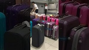 ЗНАЕТЕ ЛИ ВЫ? Выдача багажа в аэропорту Японии