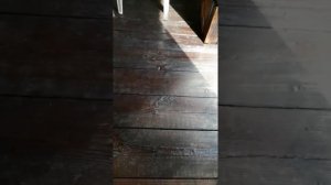 Вид изнутри беседки закрытой поликарбонатом