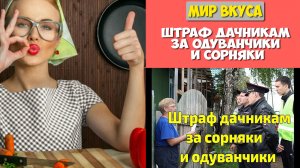 Штраф дачникам за одуванчики и сорняки. Комментарии юриста.