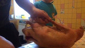 Разделываем гуся