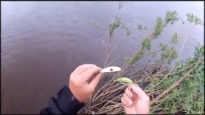 Офсетный воблер Amnihook