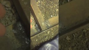 PIT 145 C ДУГОЙ, может нет)))