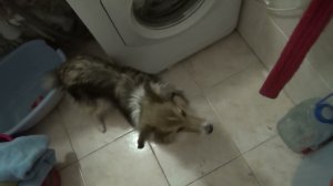 Лета и стирка2 загрузка 2021