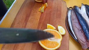 ШАШЛЫК из РЫБЫ. Рыба СКУМБРИЯ на Мангале.