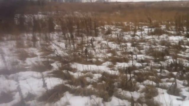 42 Наша жизнь это новая драма по книге М Нордау Вырождение смотреть онлайн