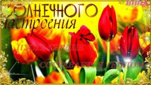 для Вас, милые женщины!