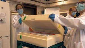 Российскую вакцину "Спутник V" доставили в Венгрию для клинических исследований