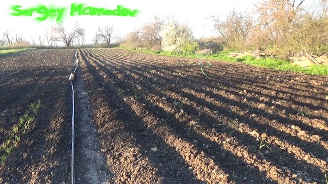 ➤ПОЛИВ КАРТОФЕЛЯ.СУПЕР!!! КОНСТРУКЦИЯ.