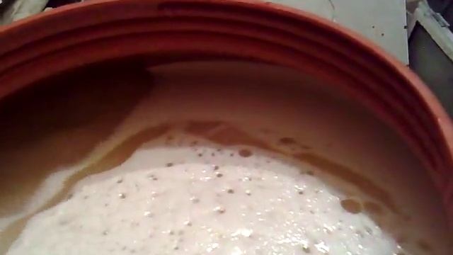 Процесс брожения с активной дегазацией смотреть онлайн