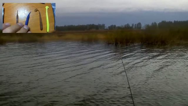 Обзор съедобного силикона от Российского производителя. смотреть онлайн