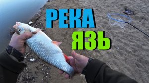 Рыбалка на реке . Язь, судак . Вес .
