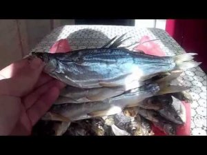 Просто вяленая рыба ! Простые рецепты заготовки рыбы.