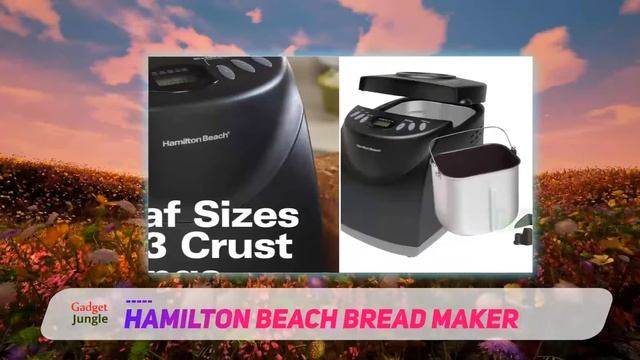 Hamilton Beach Bread Maker - Best Bread Makers Review смотреть онлайн