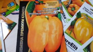 Перец сладкий толстостенного типа. Знатный толстяк. Раннеспелый. Семена премиум класса.