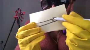 Шура Стоун поймала просрочку