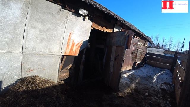 Влог :2 часть чистим загон/козы/куры Алтайский край 4 апреля 2021 смотреть онлайн