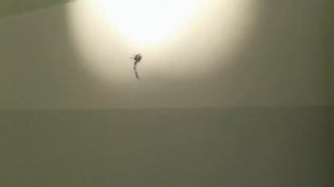 как быстро двигается солнце