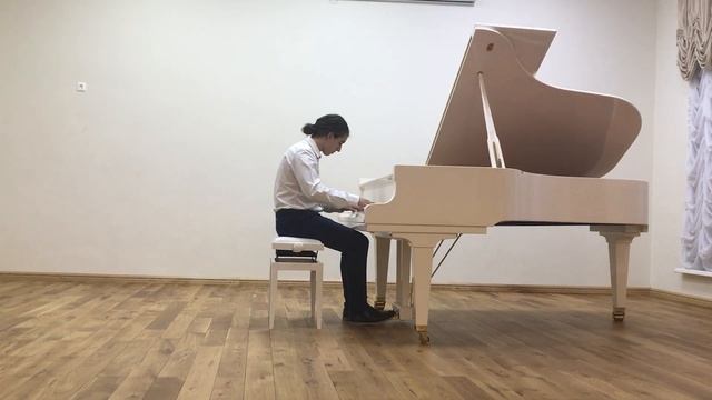 Чижиков В, Л.Бетховен Соната соч2 №2 Adur П.И.Чайковский andante maestoso Ф.Шопен Революционный этю смотреть онлайн