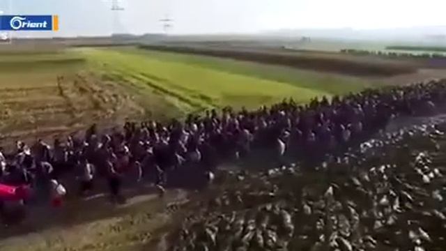Grote Hoeveelheid Vluchtelingen tussen Turkije en Griekenland onderweg naar europa