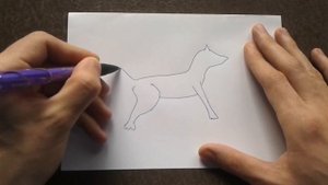 Как поэтапно нарисовать ВОЛКА для начинающих и детей? How to DRAW WOLF
