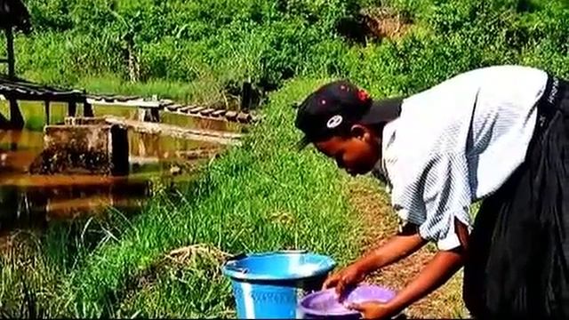 African Baby- Goombay Dance Band.mp4 смотреть онлайн