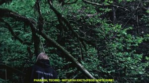 Dead Dynasty - как они изменили русский рэп и что с ними стало?