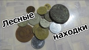 Лесные находки. Конец сезона 2018