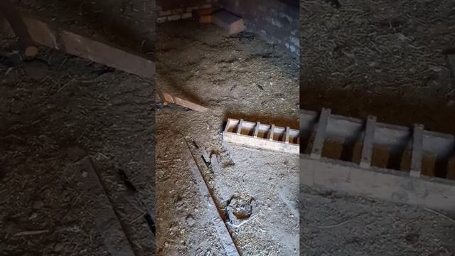 Подстилка для кур ?? в курятнике.