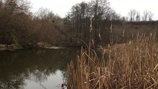 Мормишинг ! Відкриття сезону 2022/плотва/окунь. Black Fly . смотреть онлайн