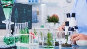 Против Рака, Тромбов, Бляшек, Спазмов и Даже..Вот Что Творит Куркума! Реальная Польза и Вред Куркум