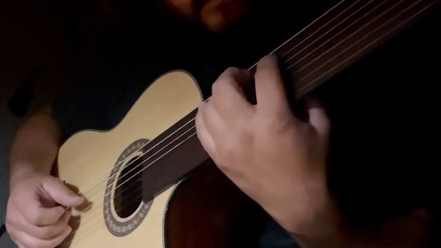 Agile Classical Fretless 7 String смотреть онлайн