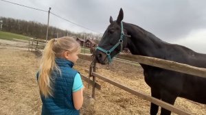 Алиса будет заниматься КОННЫМ СПОРТОМ в центре отдыха ГРИНЛАНДИЯ !