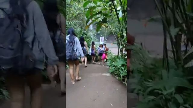 Waterfall in Gianyar Bali