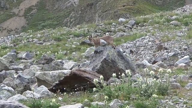 Что будет, если рассыпать соль?