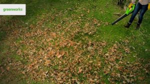 Аккумуляторный воздуходув Greenworks, 40V, модель G40AB