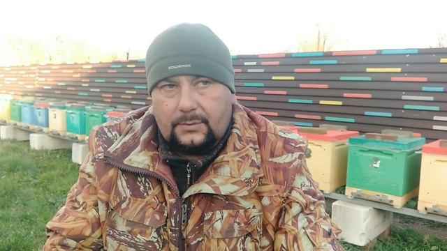Масштабный Эксперимент. Зимовка Пчёл.Долгоживущие Пчёлы!!! смотреть онлайн