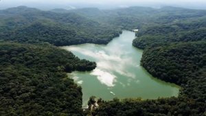 Теща и зять - неожиданность… Интересные истории