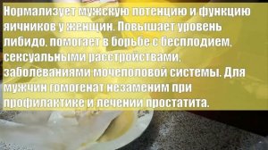 Трутневый гомогенат. Свойства, приготовление, пропорции.