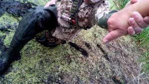 Лысуха, застрявший в трясине