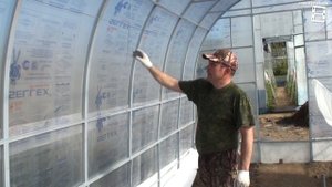 СУПЕР ШПАЛЕРА ДЛЯ ВИНОГРАДА В ТЕПЛИЦЕ БЫСТРО И ЛЕГКО. СЕВЕРНЫЙ ВИНОГРАДНИК
