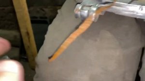 Ремонт реставрация  вафельницы Баярма вафельница СССР